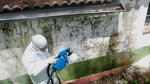 Trusted Mold Inspection service in Franklinton, NC - Cheap Mold Removal